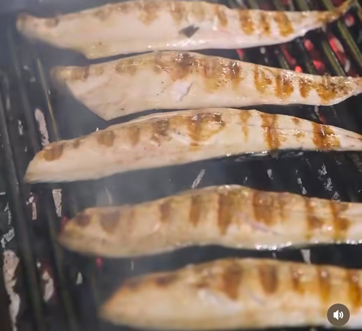 Ekmek Arası Uskumru